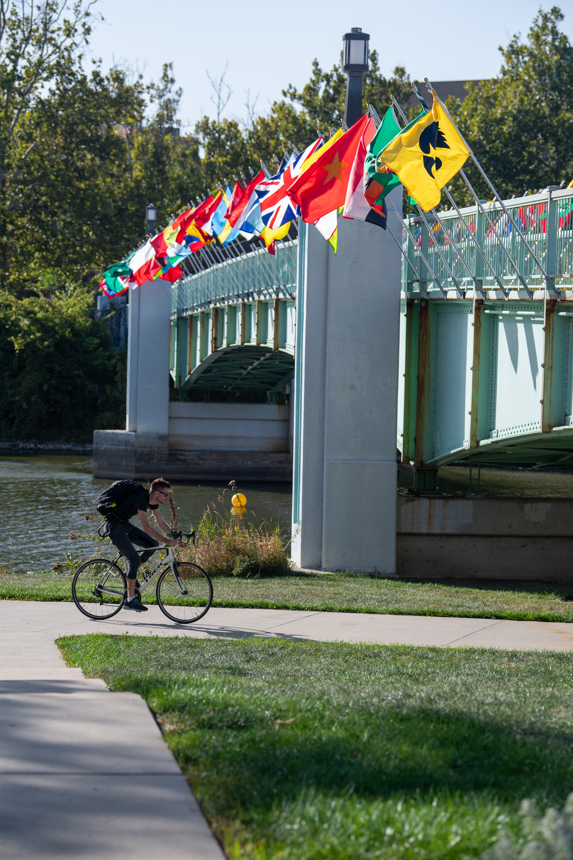 A person riding a bike underneath a bridge with many international flags raised.