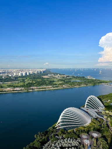 Singapore Sky