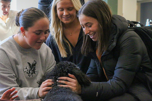 Students with a dog at an emotional health event