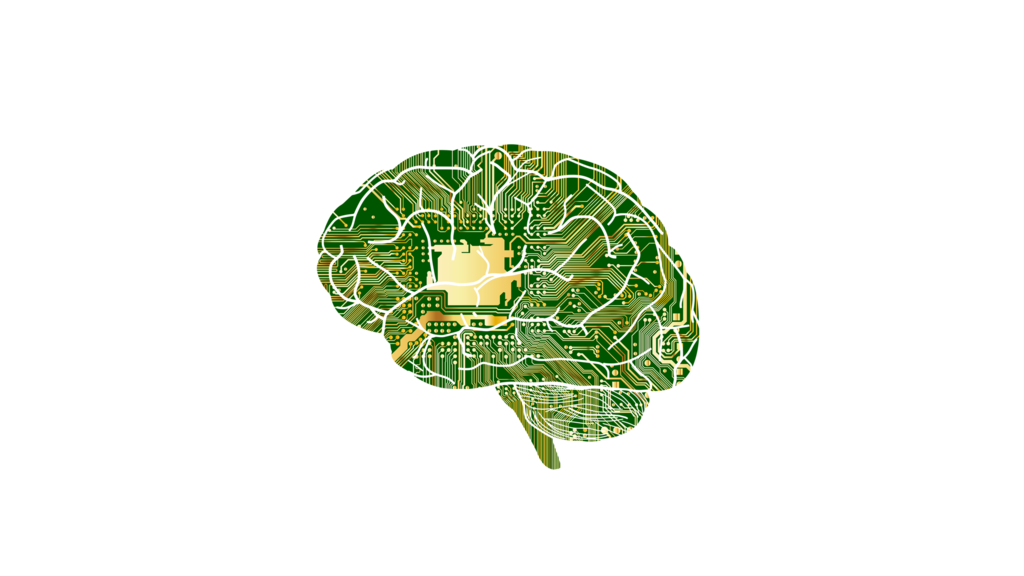 Resized Brain Circuitboard